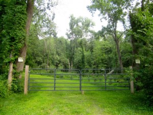 15 Acres, Stuyvesant, NY