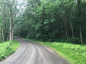 19-acres-hillsdale-thm